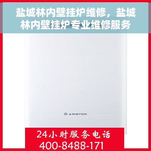 盐城林内壁挂炉维修，盐城林内壁挂炉专业维修服务