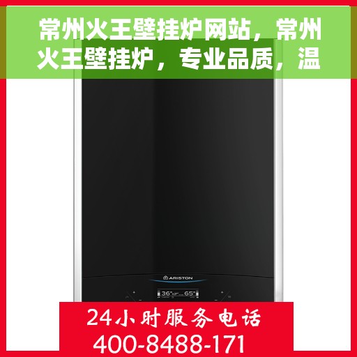 常州火王壁挂炉网站，常州火王壁挂炉，专业品质，温暖您的家
