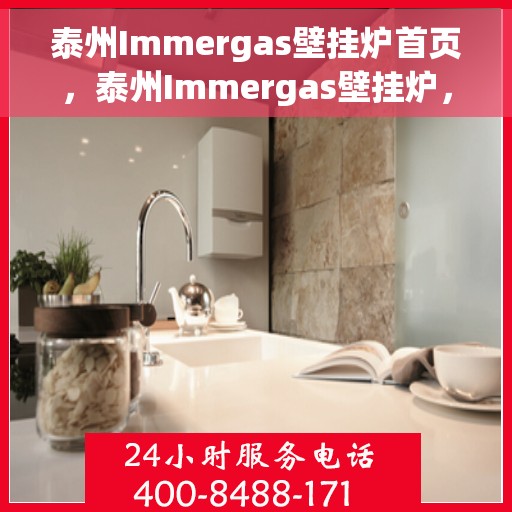 泰州Immergas壁挂炉首页，泰州Immergas壁挂炉，官方首页亮相，品质生活从此开启