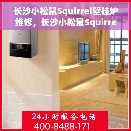 长沙小松鼠Squirrel壁挂炉维修，长沙小松鼠Squirrel壁挂炉专业维修服务