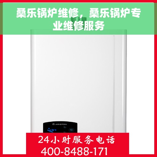 桑乐锅炉维修，桑乐锅炉专业维修服务