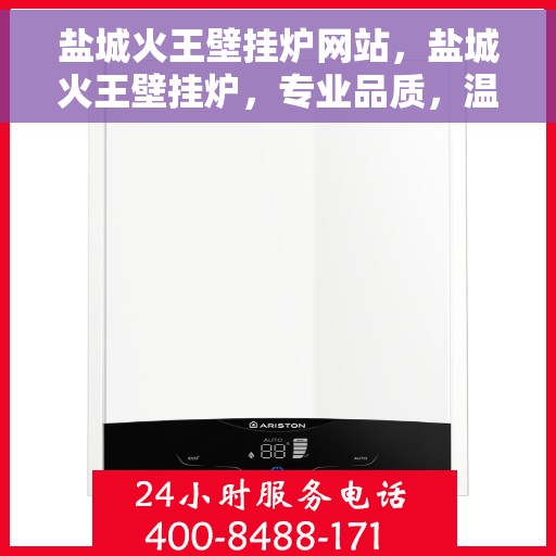 盐城火王壁挂炉网站，盐城火王壁挂炉，专业品质，温暖家园的首选之伴