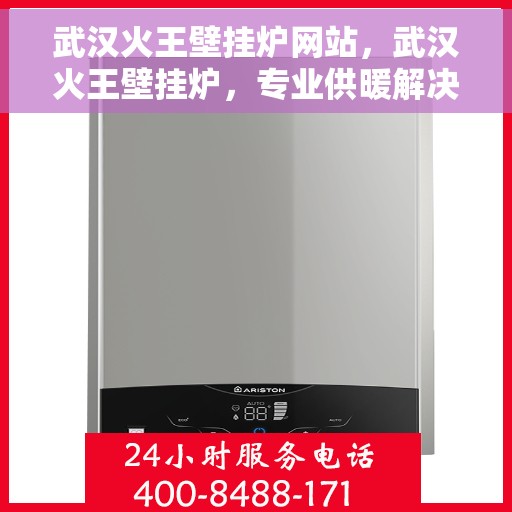 武汉火王壁挂炉网站，武汉火王壁挂炉，专业供暖解决方案一站式网站