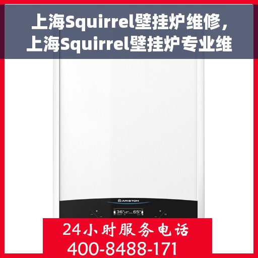 上海Squirrel壁挂炉维修，上海Squirrel壁挂炉专业维修服务