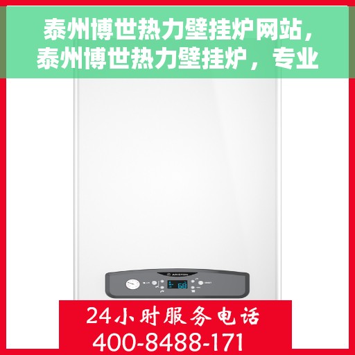 泰州博世热力壁挂炉网站，泰州博世热力壁挂炉，专业解决方案，温暖您的生活