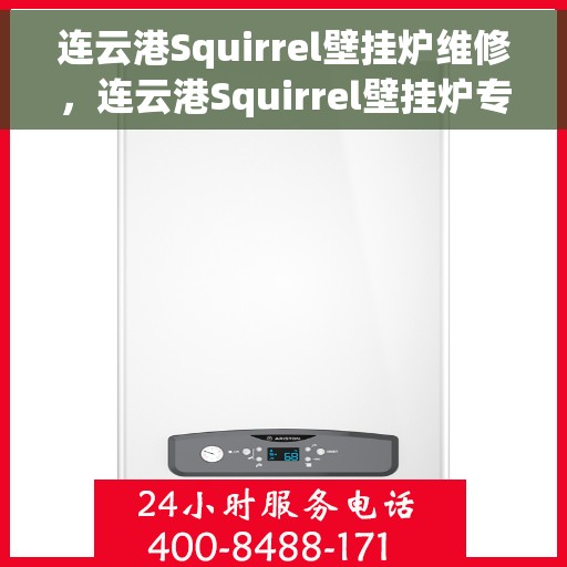连云港Squirrel壁挂炉维修，连云港Squirrel壁挂炉专业维修服务