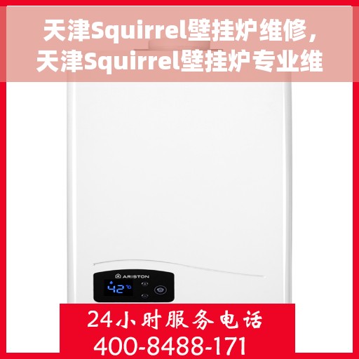 天津Squirrel壁挂炉维修，天津Squirrel壁挂炉专业维修服务