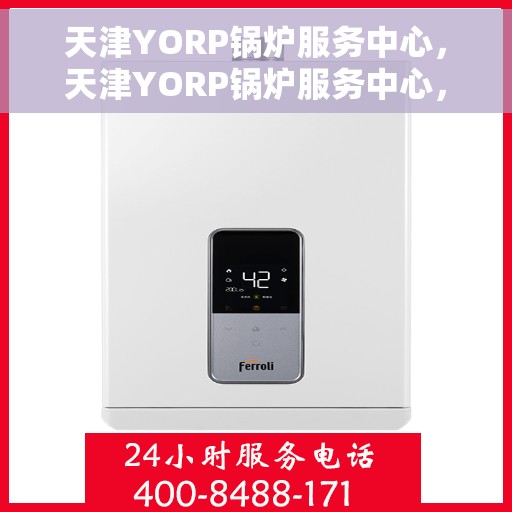 天津YORP锅炉服务中心，天津YORP锅炉服务中心，专业维护与高效运行的保障