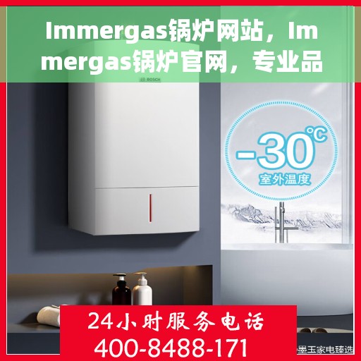 Immergas锅炉网站，Immergas锅炉官网，专业品质，高效供暖的解决方案
