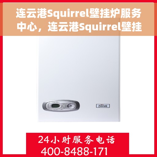 连云港Squirrel壁挂炉服务中心,连云港Squirrel壁挂炉专业服务中心 连云港Squirrel壁挂炉服务中心,连云港Squirrel壁挂炉专业服务中心