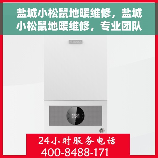 盐城小松鼠地暖维修，盐城小松鼠地暖维修，专业团队，高效解决暖气问题
