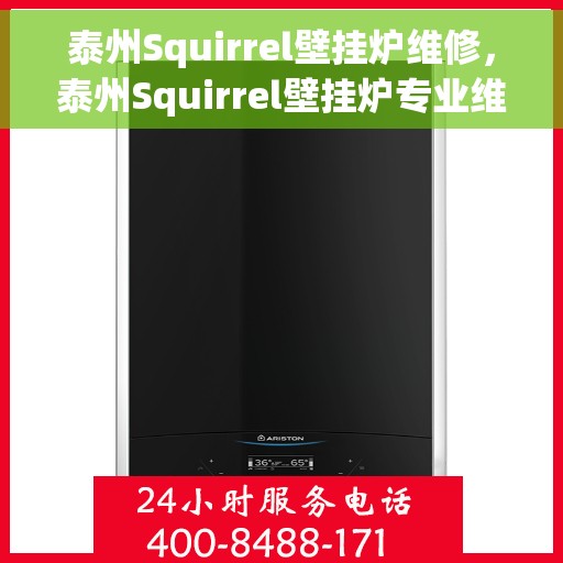 泰州Squirrel壁挂炉维修，泰州Squirrel壁挂炉专业维修服务