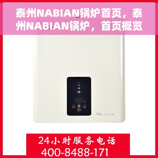 泰州NABIAN锅炉首页，泰州NABIAN锅炉，首页概览
