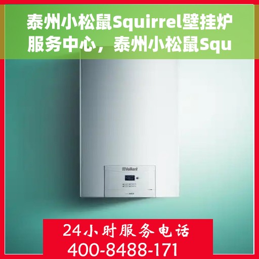 泰州小松鼠Squirrel壁挂炉服务中心，泰州小松鼠Squirrel壁挂炉专业服务中心