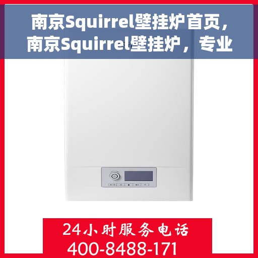 南京Squirrel壁挂炉首页，南京Squirrel壁挂炉，专业温暖解决方案的首页呈现