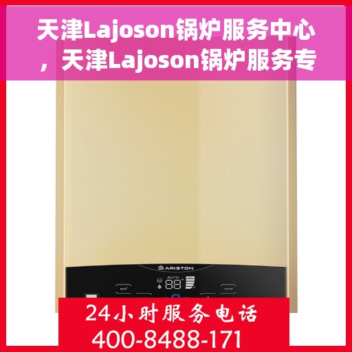 天津Lajoson锅炉服务中心，天津Lajoson锅炉服务专业团队，高效、安全的锅炉解决方案提供者