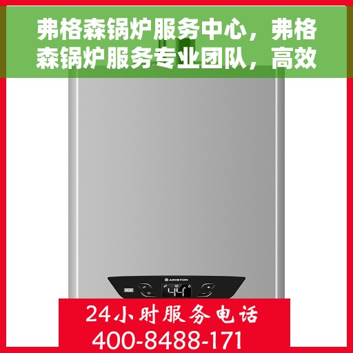 弗格森锅炉服务中心，弗格森锅炉服务专业团队，高效维护与全面解决方案