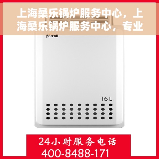 上海桑乐锅炉服务中心，上海桑乐锅炉服务中心，专业维护与高效维修一体化解决方案