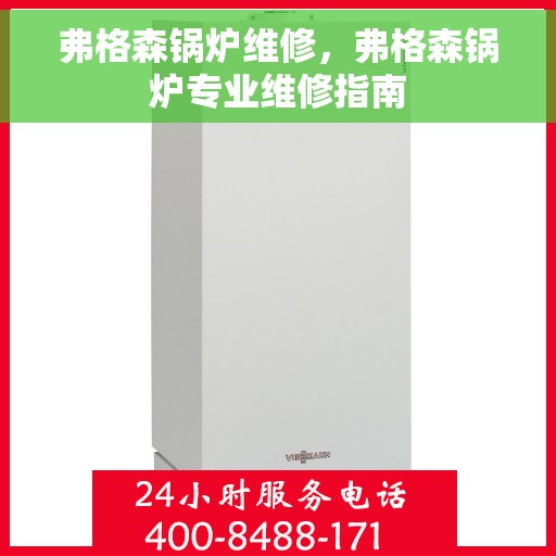 弗格森锅炉维修，弗格森锅炉专业维修指南