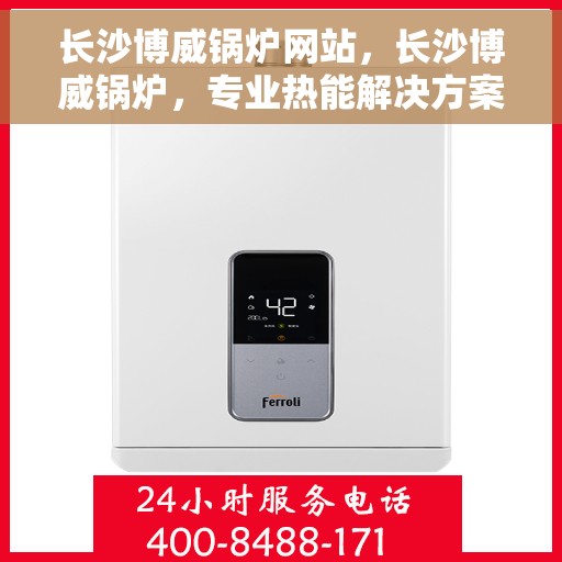 长沙博威锅炉网站，长沙博威锅炉，专业热能解决方案提供商