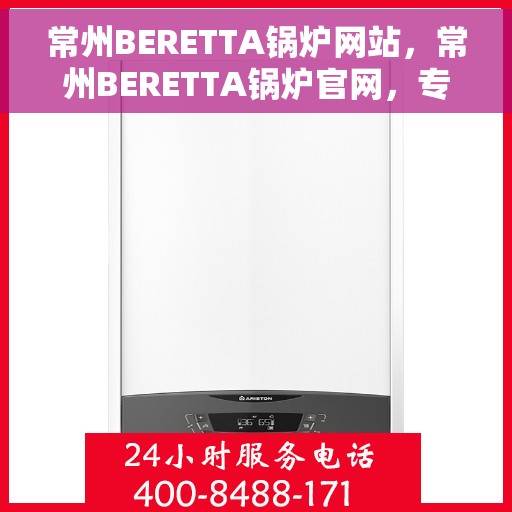 常州BERETTA锅炉网站，常州BERETTA锅炉官网，专业品质，高效供暖的解决方案