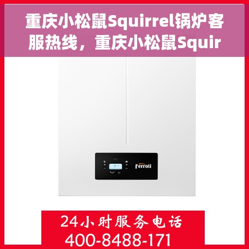 重庆小松鼠Squirrel锅炉客服热线，重庆小松鼠Squirrel锅炉客服热线，专业团队为您提供贴心服务