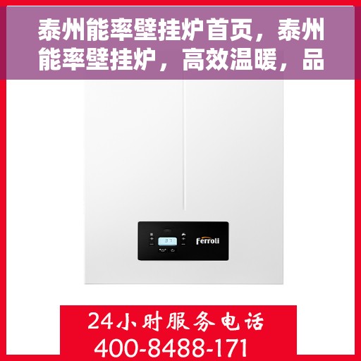 泰州能率壁挂炉首页，泰州能率壁挂炉，高效温暖，品质首页呈现