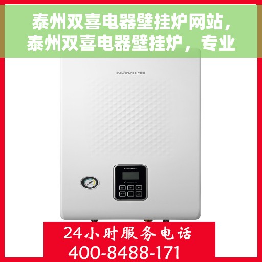 泰州双喜电器壁挂炉网站，泰州双喜电器壁挂炉，专业品质，温暖您的生活