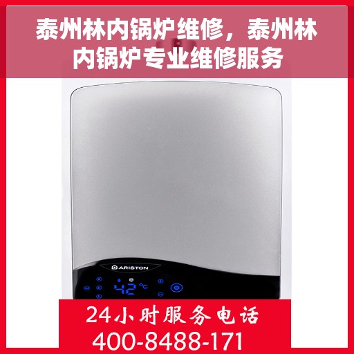 泰州林内锅炉维修，泰州林内锅炉专业维修服务