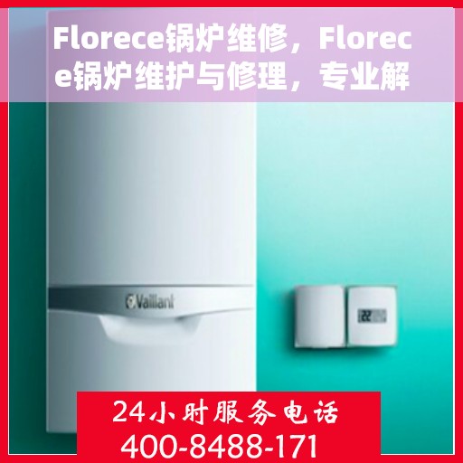 Florece锅炉维修，Florece锅炉维护与修理，专业解决方案，确保高效运行