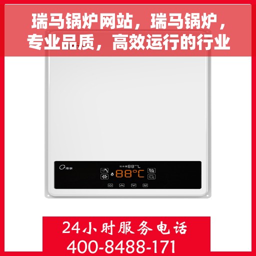 瑞马锅炉网站，瑞马锅炉，专业品质，高效运行的行业先锋