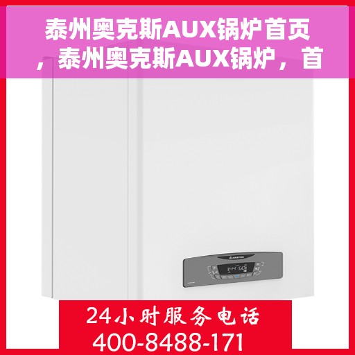 泰州奥克斯AUX锅炉首页，泰州奥克斯AUX锅炉，首页概览