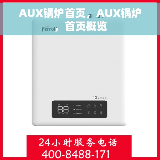 AUX锅炉首页，AUX锅炉，首页概览