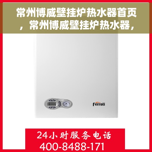 常州博威壁挂炉热水器首页，常州博威壁挂炉热水器，一站式温暖解决方案首页