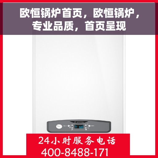 欧恒锅炉首页，欧恒锅炉，专业品质，首页呈现