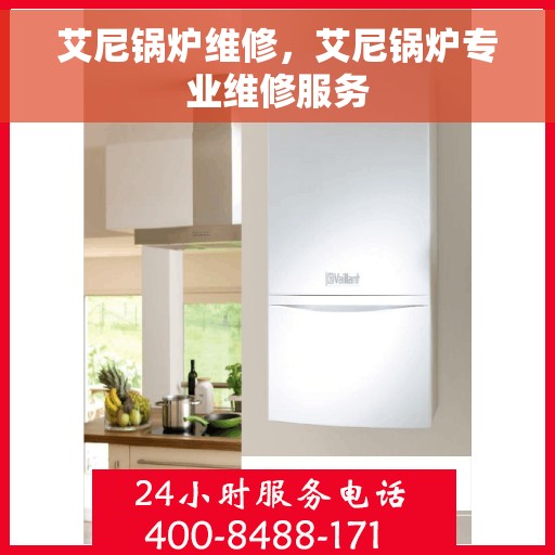艾尼锅炉维修，艾尼锅炉专业维修服务