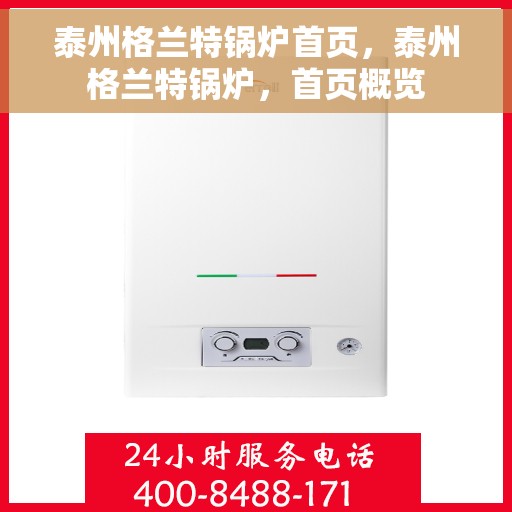 泰州格兰特锅炉首页，泰州格兰特锅炉，首页概览