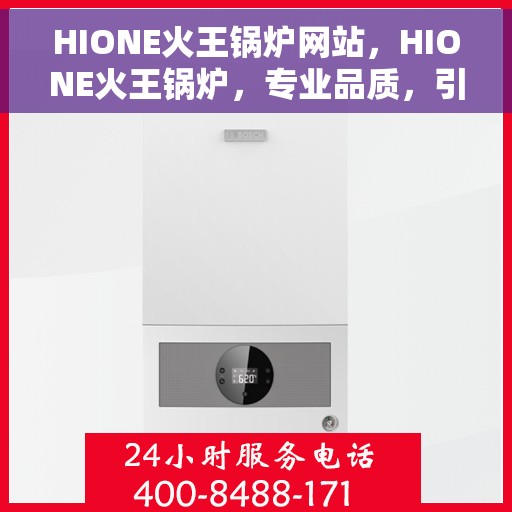 HIONE火王锅炉网站，HIONE火王锅炉，专业品质，引领热能新纪元