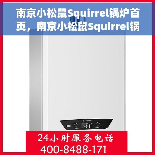南京小松鼠Squirrel锅炉首页，南京小松鼠Squirrel锅炉，首页概览