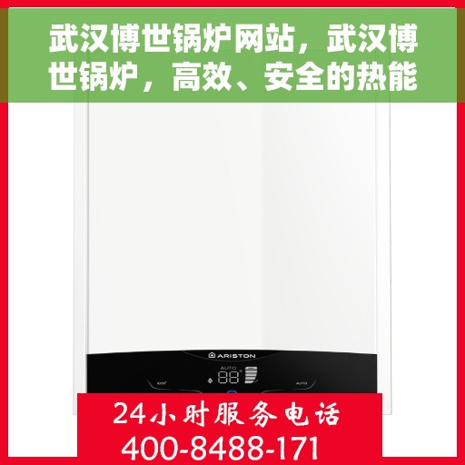 武汉博世锅炉网站，武汉博世锅炉，高效、安全的热能解决方案提供者