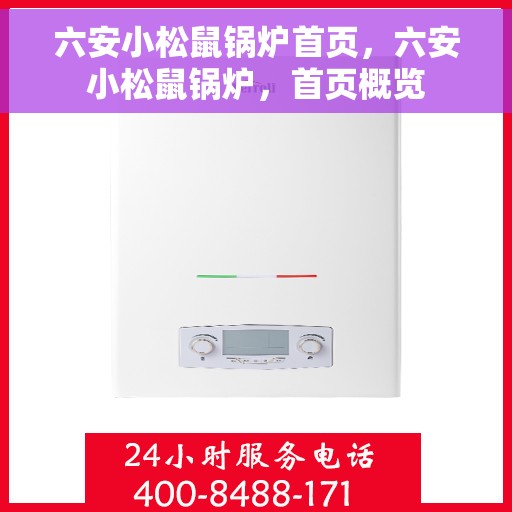 六安小松鼠锅炉首页，六安小松鼠锅炉，首页概览