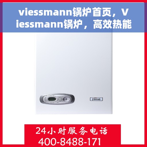 viessmann锅炉首页，Viessmann锅炉，高效热能解决方案的首页展示