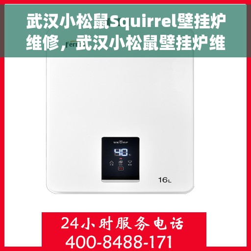 武汉小松鼠Squirrel壁挂炉维修，武汉小松鼠壁挂炉维修指南，专业解决Squirrel壁挂炉故障问题