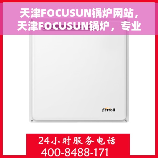 天津FOCUSUN锅炉网站,天津FOCUSUN锅炉,专业解决方案,品质卓越之选 天津FOCUSUN锅炉网站,天津FOCUSUN锅炉,专业解决方案,品质卓越之选