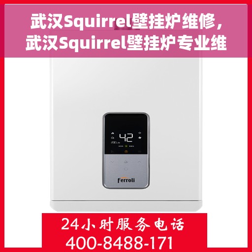 武汉Squirrel壁挂炉维修，武汉Squirrel壁挂炉专业维修服务