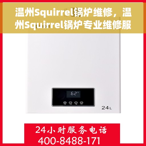 温州Squirrel锅炉维修，温州Squirrel锅炉专业维修服务
