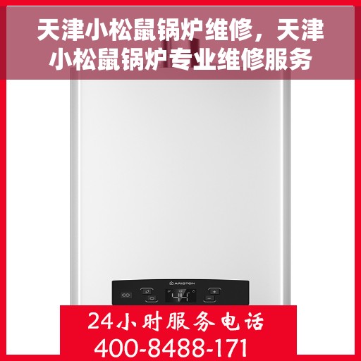 天津小松鼠锅炉维修，天津小松鼠锅炉专业维修服务