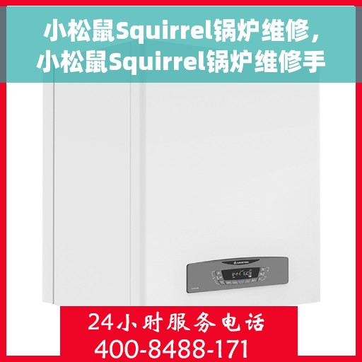 小松鼠Squirrel锅炉维修，小松鼠Squirrel锅炉维修手册，专业指南与技巧揭秘