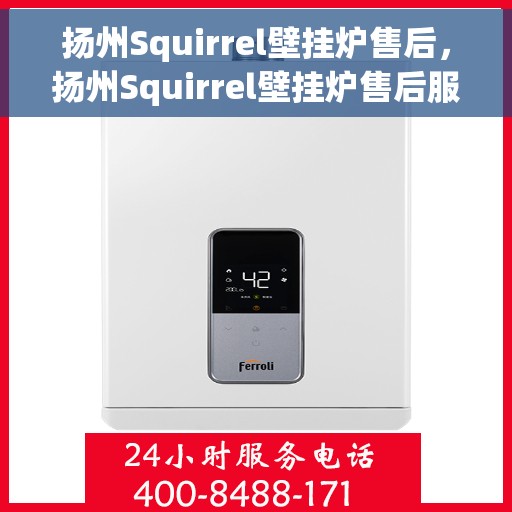 扬州Squirrel壁挂炉售后，扬州Squirrel壁挂炉售后服务解析