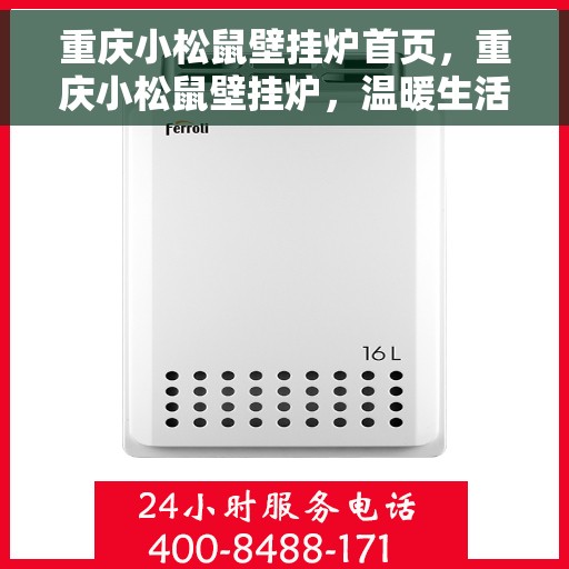 重庆小松鼠壁挂炉首页,重庆小松鼠壁挂炉,温暖生活的首选之家 重庆小松鼠壁挂炉首页,重庆小松鼠壁挂炉,温暖生活的首选之家